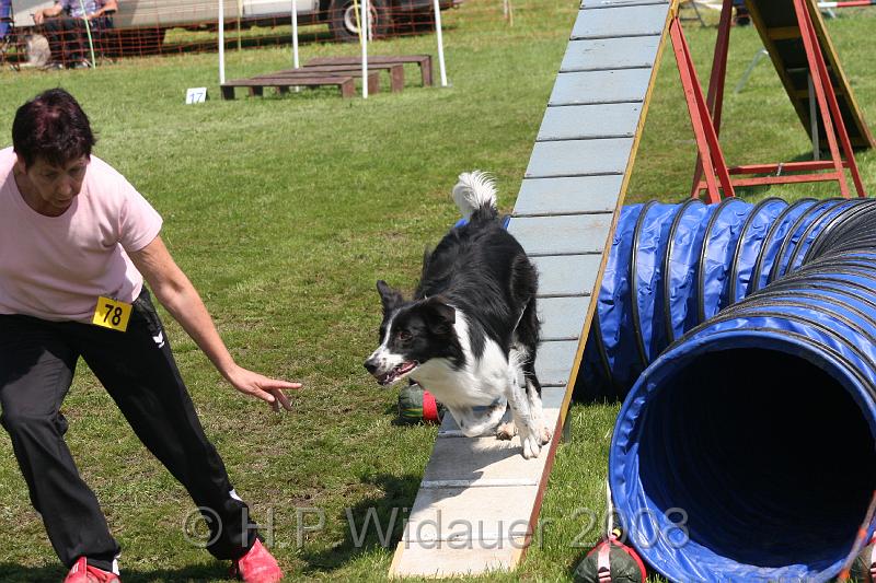 jubil.lusten. 290.jpg